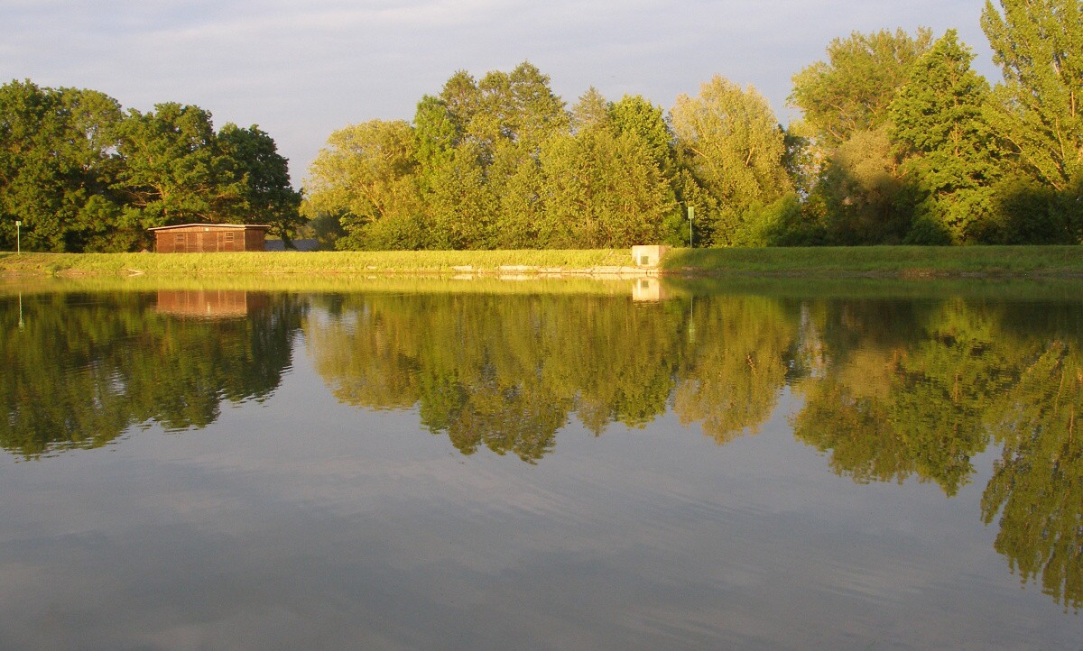 P5249685.jpg