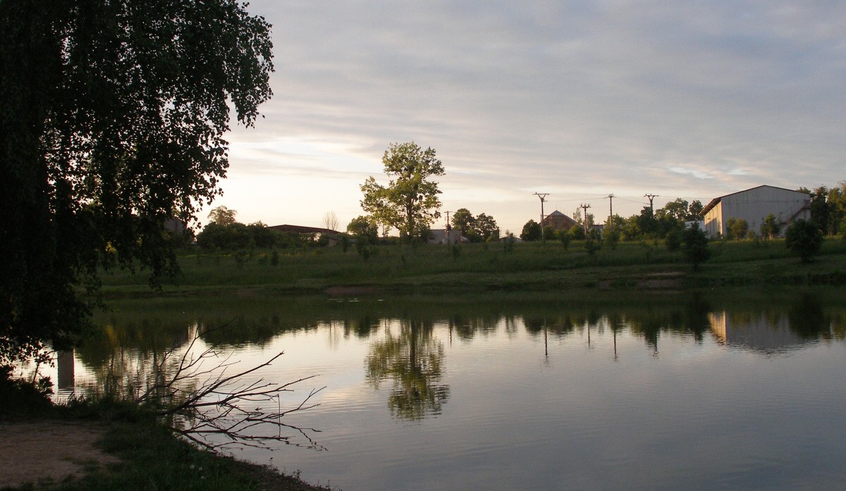 P5249688.jpg