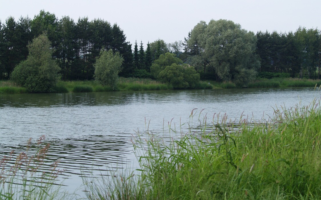 E6038392.jpg