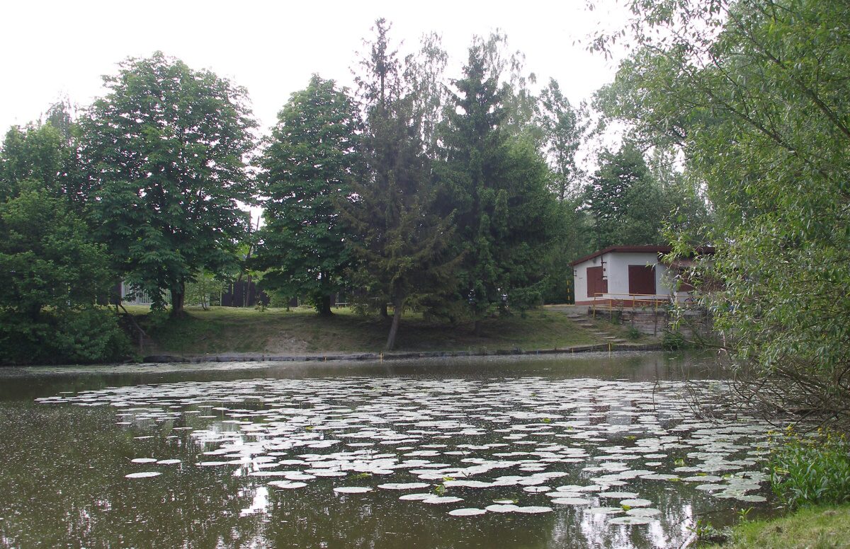 P5279696.jpg